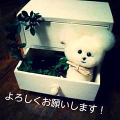 羊毛フェルト（人形のみ）のサムネイル