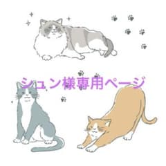シュン様専用ページのサムネイル
