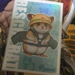 遊戯王 専用のサムネイル