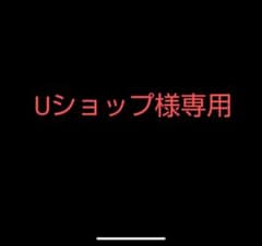【Uショップ様専用】ミニ四駆関連のサムネイル