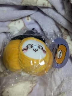 치이카와 가장한 것 같다~! 마스코트 호박인모몬가
