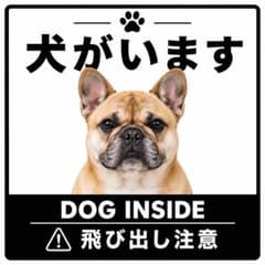 カーステッカー　ブルドッグ　正方形　犬がいます飛び出し注意　防水　玄関　犬のサムネイル