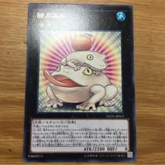 餅カエルのサムネイル