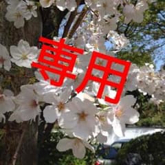 ninan様専用のサムネイル