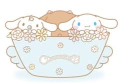 カズ様専用☆☆☆のサムネイル