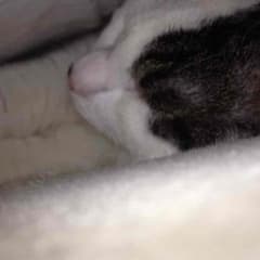 ゆいゆい様専用のサムネイル