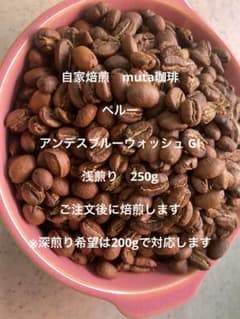 ペルー アンデスブルーウォッシュ GI 浅煎り　250gのサムネイル