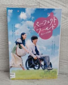 パーフェクトワールド DVD 岩田剛典 杉咲花 - メルカリ