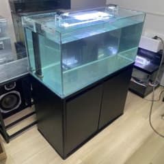 m81929361330_1.jpg?1748354754