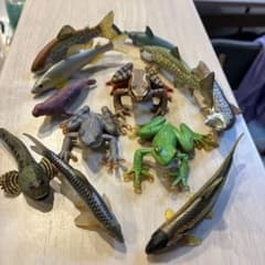 魚・カエル フィギュア まとめ売りのサムネイル
