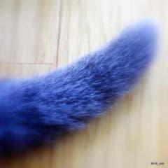 【蒼猫さま専用！ジャンク】ギブソン レスポールスタンダード ！のサムネイル