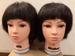 美容師国家試験カット済みウィッグ 2頭セットのサムネイル