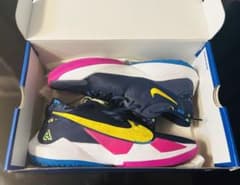 NIKE ズームフリーク2 29.0cm ※インソールなしのサムネイル
