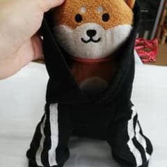 犬の服Mサイズのサムネイル