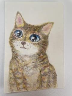 青い目の子猫　やさしく微笑むキジトラのサムネイル