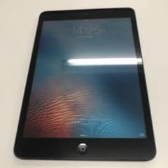 iPad mini 64gbのサムネイル