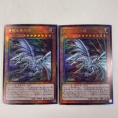 遊戯王 青眼の亜白龍　ブルーアイズオルタナティブホワイトドラゴン　レリーフ　2枚のサムネイル
