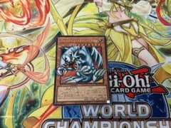 ブルーアイズ・トゥーン・ドラゴン　オーバーフレームのサムネイル