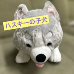 m81982685475_1.jpg?1755955184