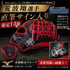 超希少 荒波翔 直筆サイン ミズノ 本格軟式グローブ 限定14個 DeNA 超希少 荒波翔 直筆サイン ミズノ 本格軟式グローブ 限定14個 DeNA
