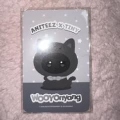 ANITEEZ COLOR ウヨン TINY PLUSH KEYRING トレカ - メルカリ