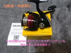 4000番DAIWA ダイワ リール スピニングリール 海外モデル 日本未発売