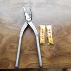 東北エスパルス伊達超のサムネイル