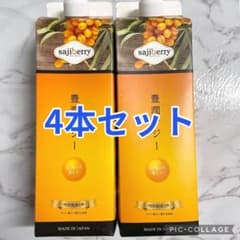 新品未開封】フィネス 豊潤サジー 1000ml×4本 - メルカリ