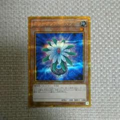 グローアップバルブ ゴルシクのサムネイル
