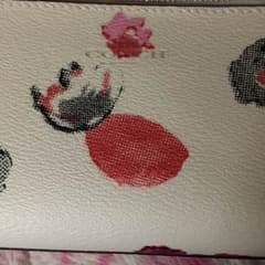 coachのサムネイル