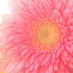 RINA♡mam様専用のサムネイル