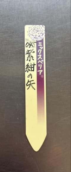 ❤️確認用❤️ミックスベリア❤️紫紺の矢❤️カット発根管理中〜♪✨メルカリ便✨札なし 紫紺の矢 札のみ ミックスベリア おらいさん苗 多肉植物 - メルカリ