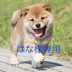FREAK'S STORE ロングスカートのサムネイル