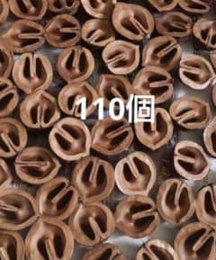 くるみの殻 ハーフ♡A4ネコポス箱いっぱい約110個♡クルミのサムネイル