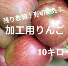 ✨️りんご訳あり加工用✨️箱込み10キロ以上！のサムネイル