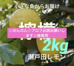 ☆のんのん☆プロフ必読お願いします☆様専用レモン2kg - メルカリ