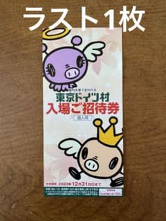 東京ドイツ村　チケット　優待券のサムネイル