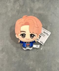BTS TinyTAN DNA 치비구루미 남준 RM