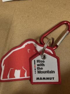 MAMMUT マムート ネームタグ付き キーホルダー カラビナ 新品未使用のサムネイル
