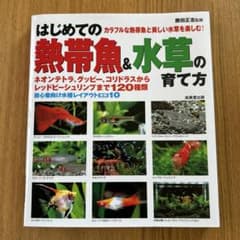はじめての熱帯魚&水草の育て方のサムネイル