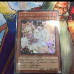 うらら シクのサムネイル
