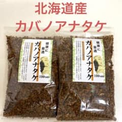 カバノアナタケ 北海道産 100g×2袋 チャーガ カバノアナタケ茶