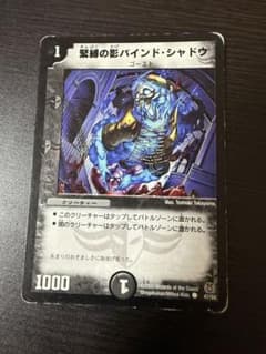 緊縛の影バインドシャドウのサムネイル