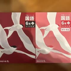 四谷大塚 予習シリーズ 国語 6年下 有名校対策 - メルカリ