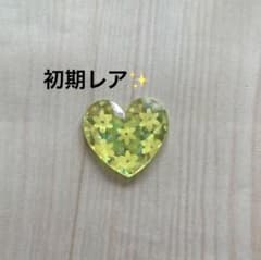 【初期レア】プリズムストーン　フェミニン　ビッグフラワートップスのサムネイル