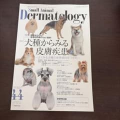Small Animal Dermatology 44 裁断済 - メルカリ
