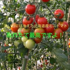 Omari様専用のサムネイル