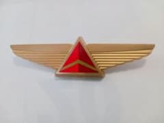 デルタ航空 ウィングパイロットバッジ〘非売品〙ゴールド - メルカリ
