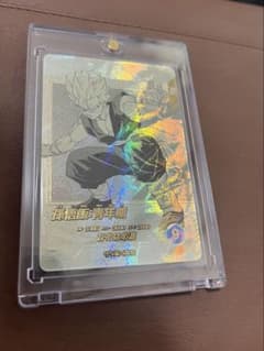 ドラゴンボールダイバーズ 孫悟飯：青年期N☆パラレル 40th アドバンス