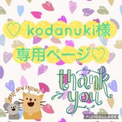 ♡ kodanuki様専用ページ♡のサムネイル